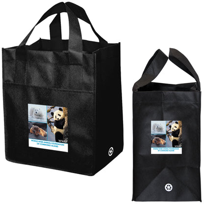 NON WOVEN CARRY ALL BAG