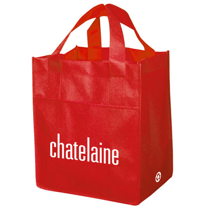 NON WOVEN CARRY ALL BAG