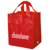 NON WOVEN CARRY ALL BAG