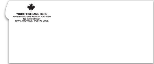 #10 No Window Business Envelopes C740