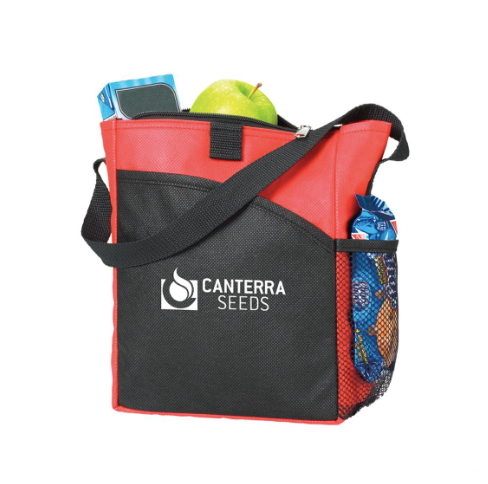 Gourmet Cooler Bag B429